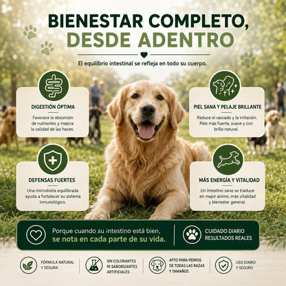 PUKIMRO™ | Probiótico + Prebiótico para una Digestión Sana, Piel Saludable y Mayor Bienestar